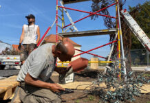 Dr. Molrok und der Paradiesbaum