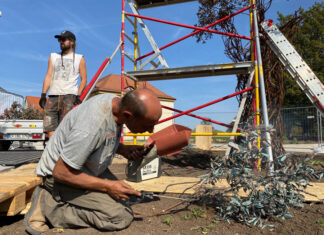 Dr. Molrok und der Paradiesbaum