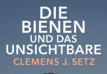 Lesestoff für die Dunkelzeit