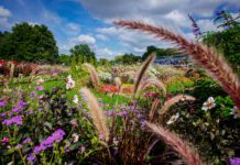 Rückbau und Öffnung der BUGA-Gelände