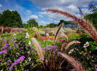 Rückbau und Öffnung der BUGA-Gelände