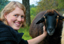 Weidewonne-Crowdfunding testet neue Wege der Unterstützung für Thüringer Schäfereien