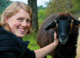 Weidewonne-Crowdfunding testet neue Wege der Unterstützung für Thüringer Schäfereien
