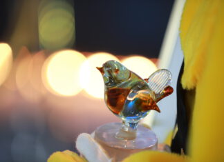 Ausschreibung für den Wettbewerb „Kino-TV GOLDENER SPATZ 2022“ gestartet!