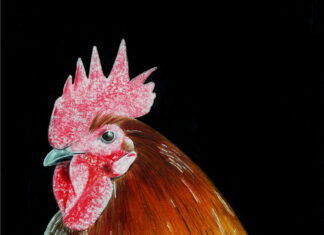 Eine Künstlerin und ihre Tiere