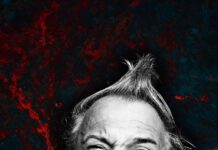 Das Beste von Götz Widmann