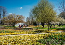 Spezialmarkt „du und dein garten“ im egapark eröffnet Gartensaison