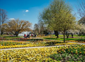 Spezialmarkt „du und dein garten“ im egapark eröffnet Gartensaison