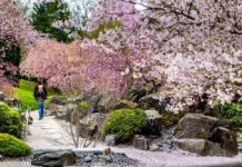 Volle Blüte im egapark