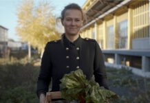 Little Impact Talk mit Dachgemüse