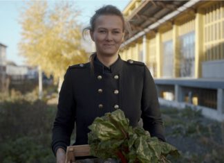 Little Impact Talk mit Dachgemüse