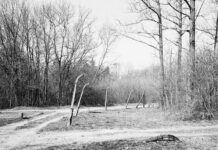 Ausstellung: Stille Zeugen