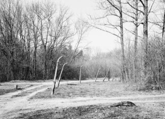 Ausstellung: Stille Zeugen