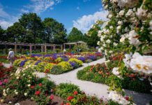 Familienwochen im egapark