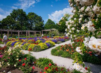 Familienwochen im egapark