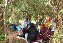 Naturfestival im Grünen