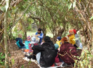 Naturfestival im Grünen