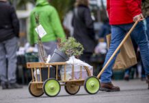 Spezialmarkt „du und dein garten“ gibt Startschuss für die Gartensaison