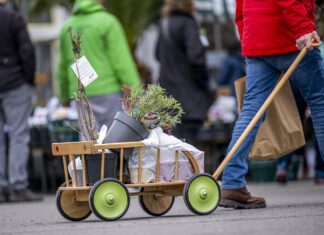 Spezialmarkt „du und dein garten“ gibt Startschuss für die Gartensaison