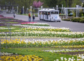 So schön blüht der Frühling im egapark