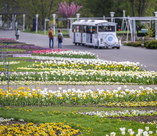 So schön blüht der Frühling im egapark