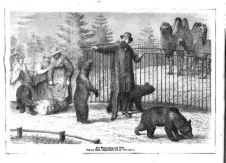 Alfred Brehm – Das Leben einer Bücherschrank-Legende