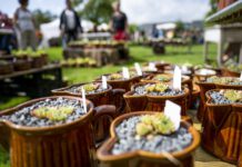 Ein Hoch auf die Gartenlust!