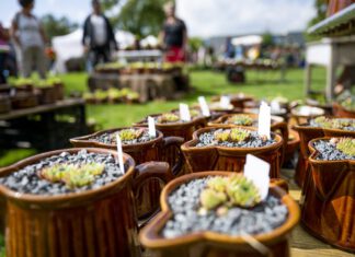 Ein Hoch auf die Gartenlust!