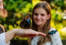 Eine Millionen Besucher im Danakil