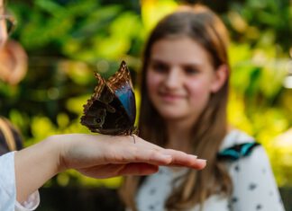 Eine Millionen Besucher im Danakil