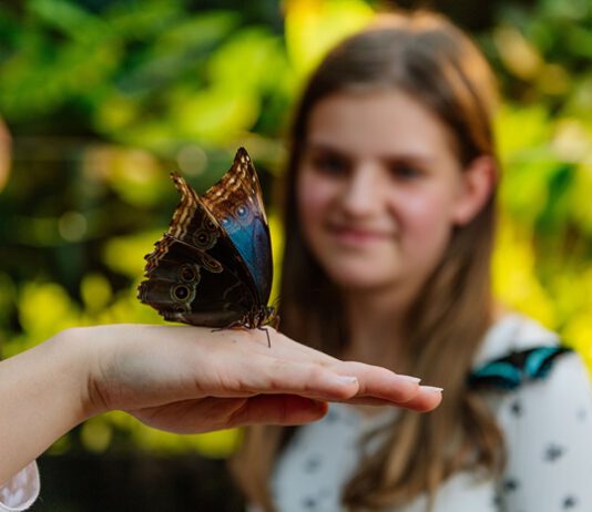 Eine Millionen Besucher im Danakil