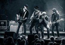 Wingenfelder machen auf ihrer Abschiedstour Halt in Erfurt: „So ein Ende hat auch Kraft“