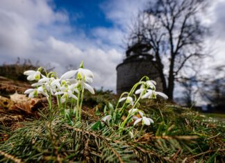 Raritätenbörse „Schätze unterm Schnee“ eröffnet Veranstaltungsreigen im egapark