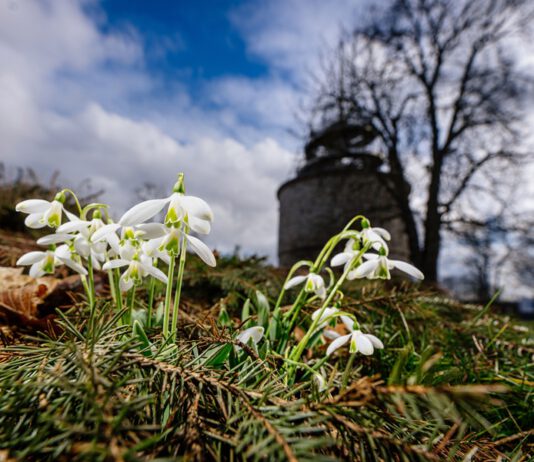Raritätenbörse „Schätze unterm Schnee“ eröffnet Veranstaltungsreigen im egapark