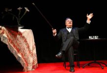 Die Tauben sind nicht totzukriegen