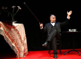 Die Tauben sind nicht totzukriegen