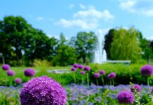 Entspanntes und langes Pfingstwochenende im egapark