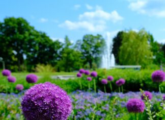 Entspanntes und langes Pfingstwochenende im egapark
