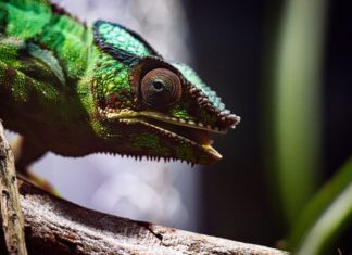 Ferienstart im egapark für Entdecker, Tierliebhaber und Gartenfans