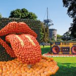 Im egapark spielt der Kürbis die erste Geige!