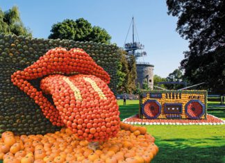 Im egapark spielt der Kürbis die erste Geige!