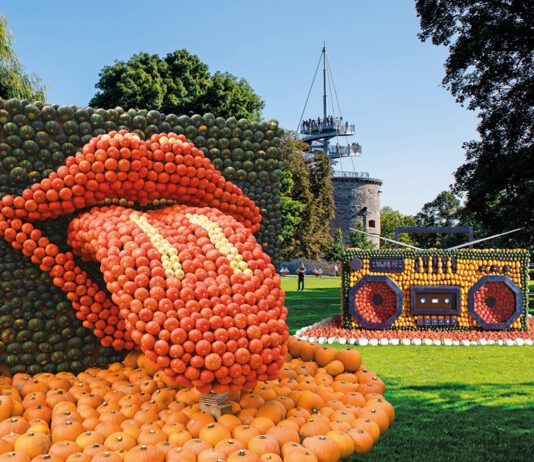 Im egapark spielt der Kürbis die erste Geige!