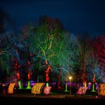 Winterleuchten verzaubert egapark mit Licht und Fantasie