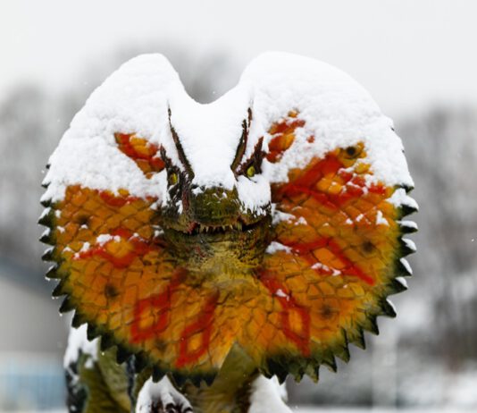 Hurra! Die Dinos sind da!