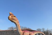 Odyssee der Urzeittiere mit glücklichem Ende im egapark