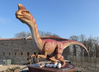 Odyssee der Urzeittiere mit glücklichem Ende im egapark