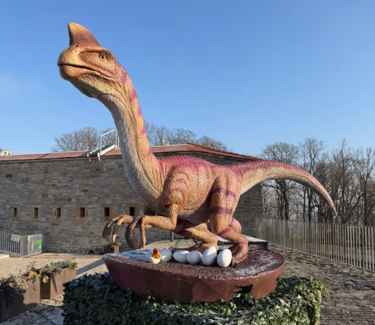 Odyssee der Urzeittiere mit glücklichem Ende im egapark