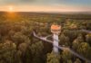 Baumkronenpfad im Nationalpark Hainich startet in die Saison 2026