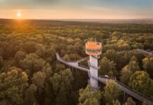 Baumkronenpfad im Nationalpark Hainich startet in die Saison 2026