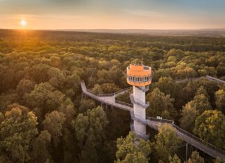 Baumkronenpfad im Nationalpark Hainich startet in die Saison 2026